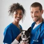 How to Plan Ahead With Veterinarian Disability Insurance