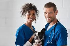 How to Plan Ahead With Veterinarian Disability Insurance