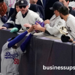 yankees fan slaps phillies fan